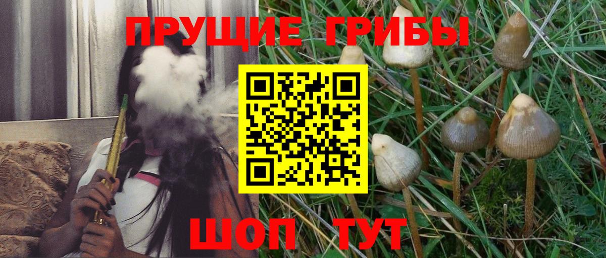 Галлюциногенные грибы Psilocybine cubensis  Вход с VPN  Коломна 